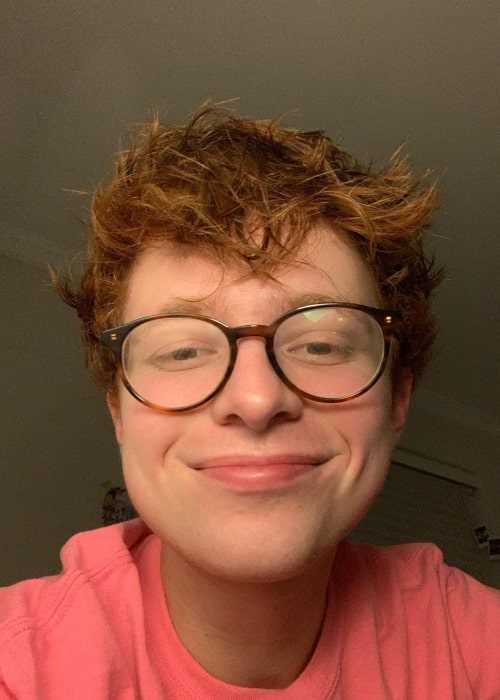 Cavetown: Biography, Age, Height, Figure, Net Worth