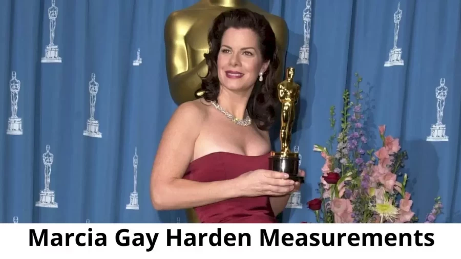Marcia Gay Harden: Biography, Age, Height, Figure, Net Worth