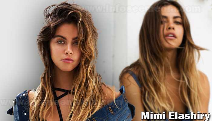 Mimi Elashiry: Biography, Age, Height, Figure, Net Worth