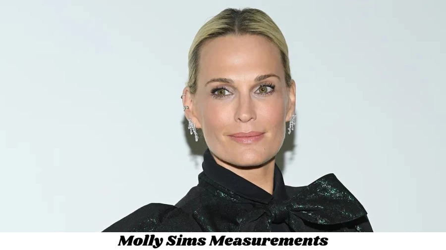 Molly Sims: Biography, Age, Height, Figure, Net Worth