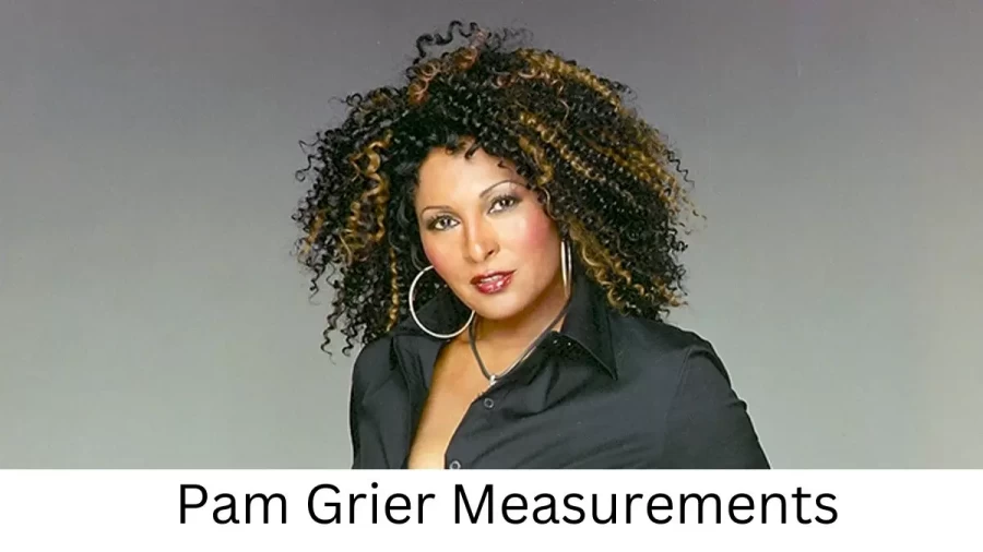 Pam Grier: Biography, Age, Height, Figure, Net Worth