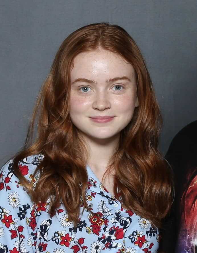 Sadie Sink: Biography, Age, Height, Figure, Net Worth