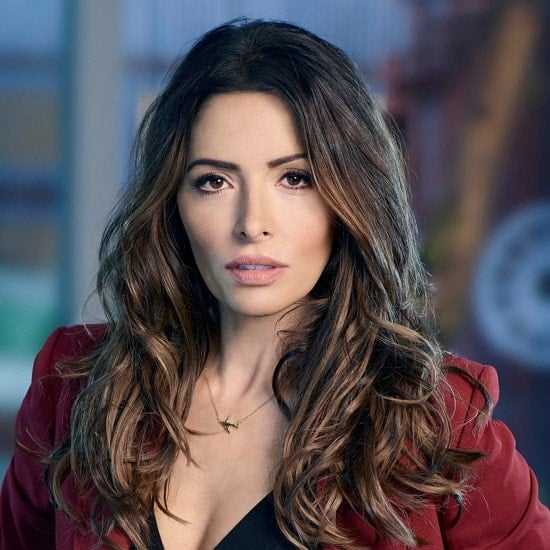 Sarah Shahi: Biography, Age, Height, Figure, Net Worth