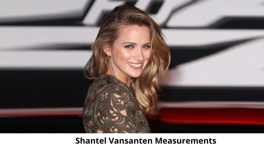 Shantel VanSanten's Net Worth and Achievements