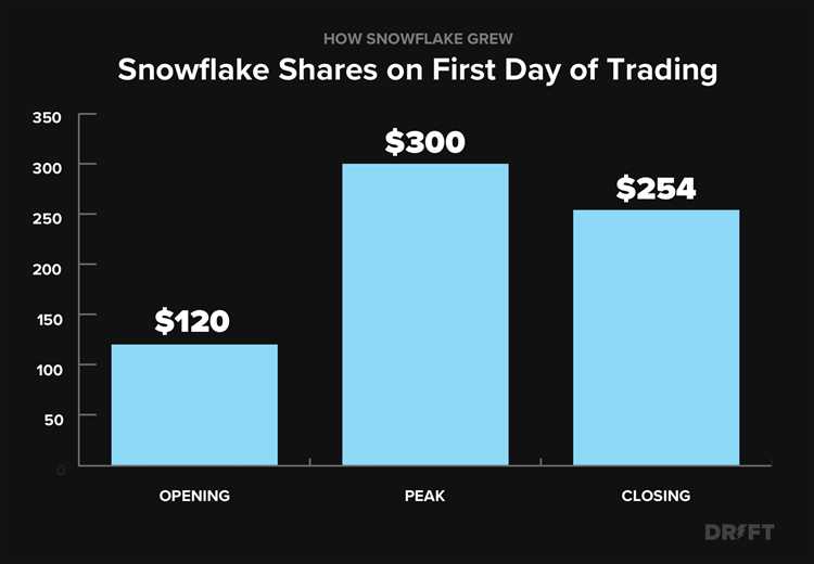 Snowflake's Net Worth