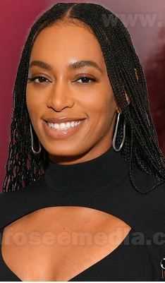 Solange Knowles: Biography, Age, Height, Figure, Net Worth