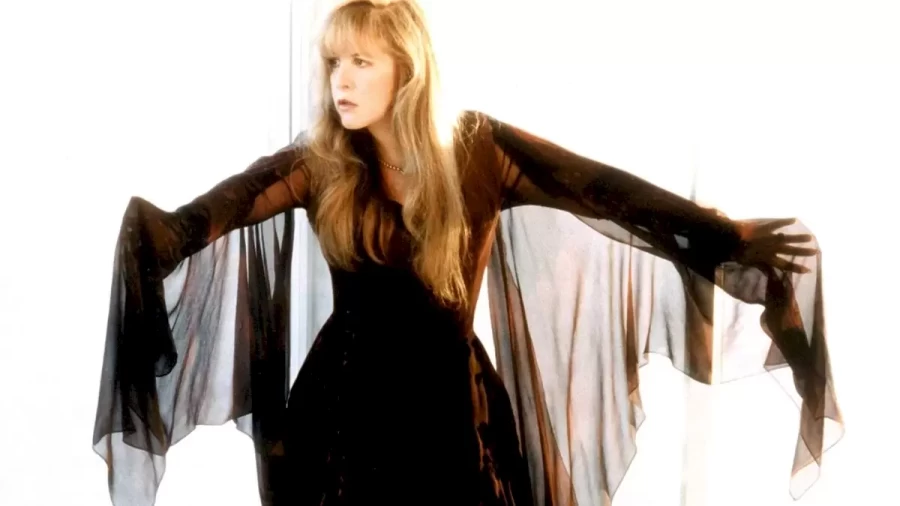 Stevie Nicks: Biography, Age, Height, Figure, Net Worth