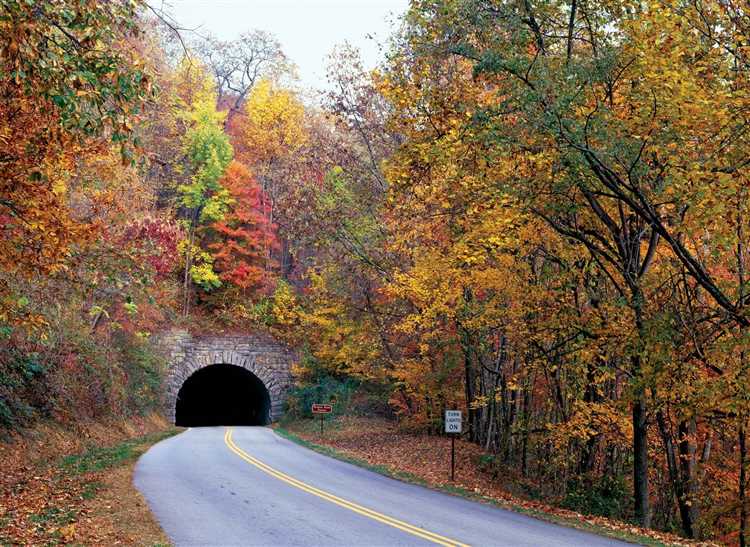 Height and Physique of Virginia Tunnels