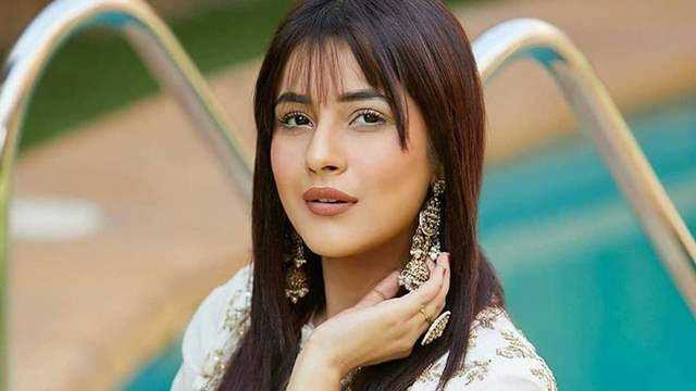 Net Worth of Shehnaaz Gill