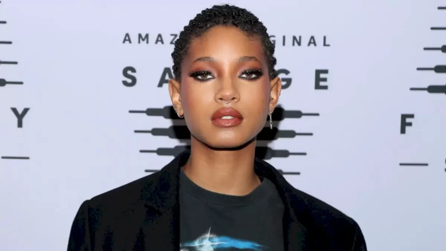 What Is Willow Smith's Net Worth?