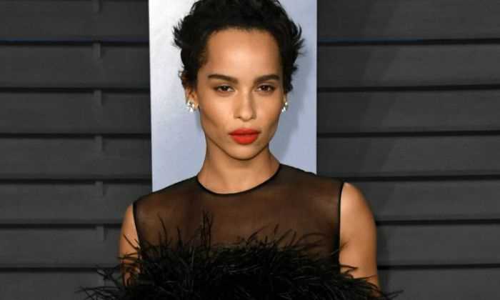 Zoe Kravitz Net Worth