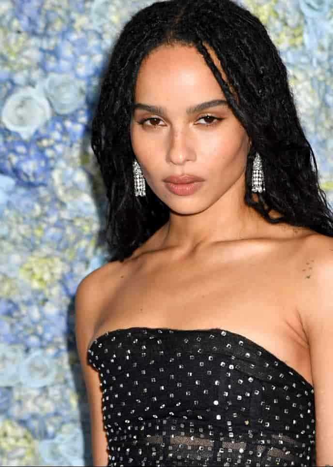 Zoe Kravitz: Biography, Age, Height, Figure, Net Worth