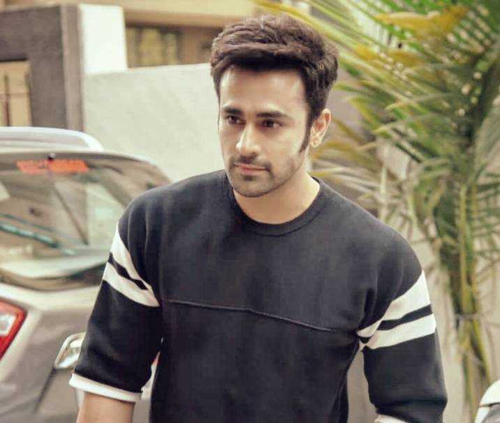 Biography of Pearl V Puri