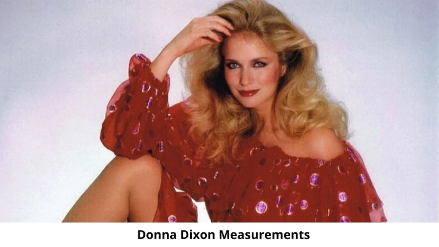 Donna Dixon: Biography, Age, Height, Figure, Net Worth