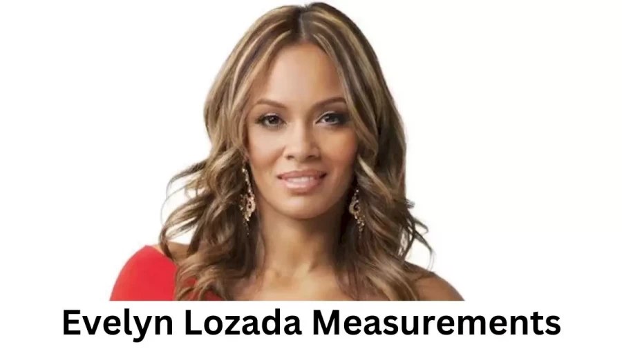 Evelyn Lozada: Biography, Age, Height, Figure, Net Worth