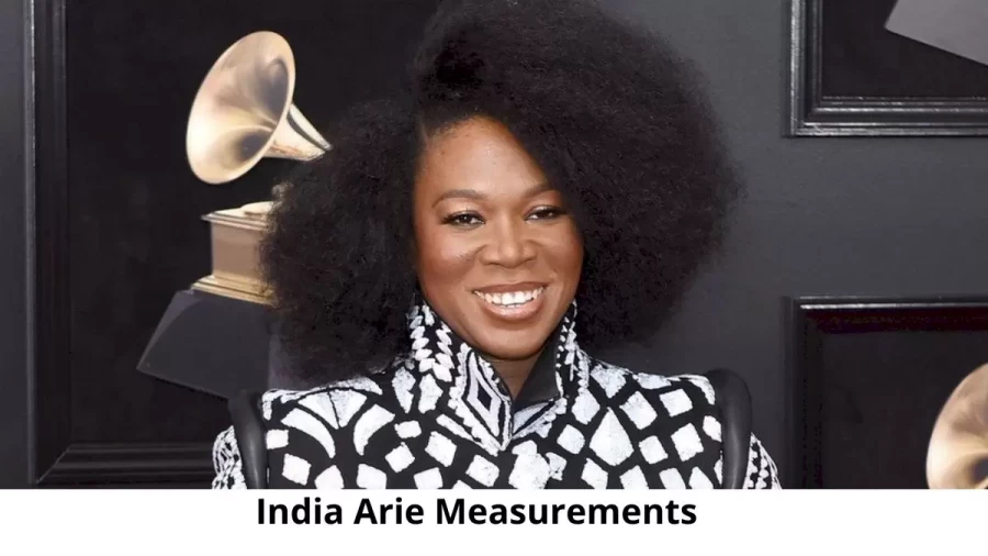 India Arie: Biography, Age, Height, Figure, Net Worth