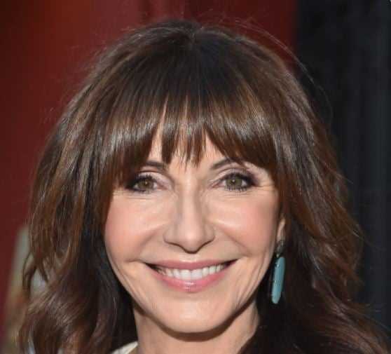 Mary Steenburgen: Biography, Age, Height, Figure, Net Worth