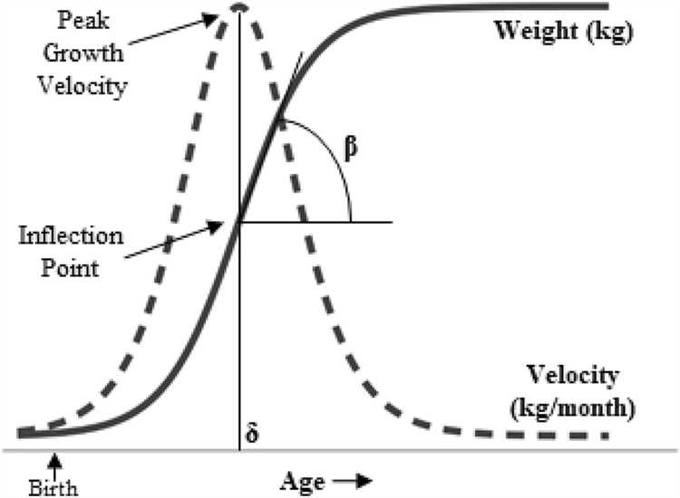 Adaire E Aire: Age, Height, Figure