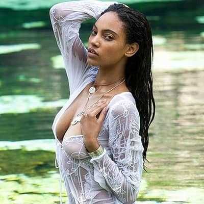 Ariel Meredith: Biography, Age, Height, Figure, Net Worth