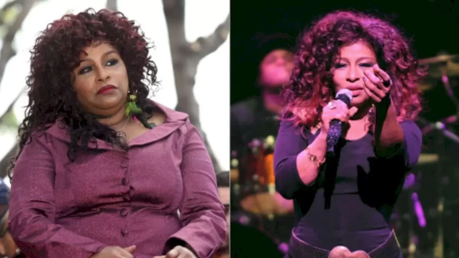 Chaka T: Biography, Age, Height, Figure, Net Worth