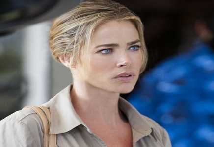 Examining Denise Richards' Net Worth and Charitable Contributions