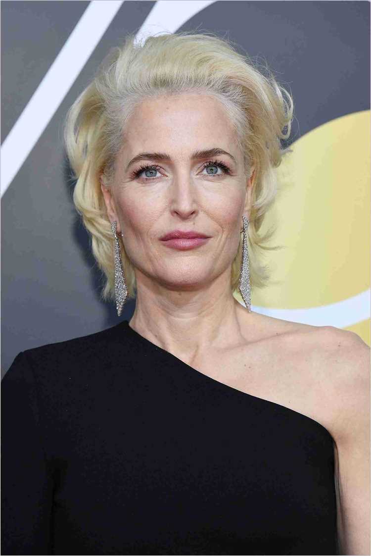 Gillian Anderson: Biography