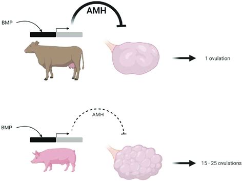  Analyzing the Connections Between Bovine Creatures and Subconscious Desires 