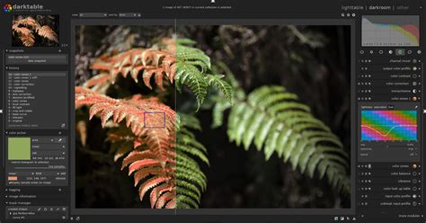  Darktable: The Ultimate Tool for Photo Post-Processing 