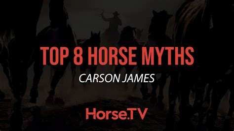  Debunking Myths: Do Equines Always Sleep Upright? 