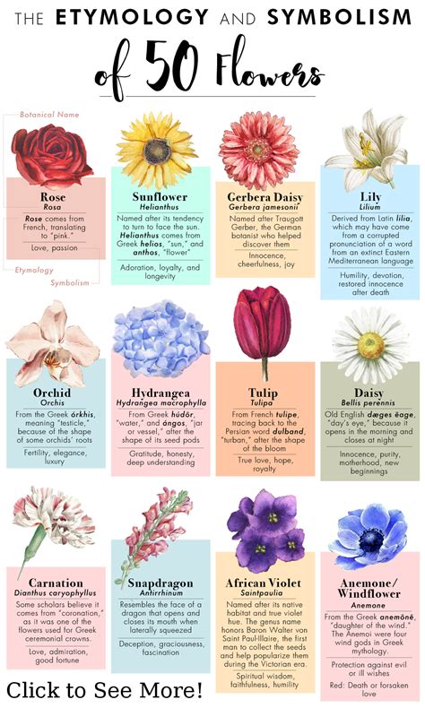  Decoding the Symbolic Meaning of Various Floral Varieties 