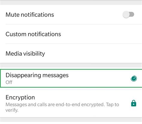  Disappearing WhatsApp: Remove the Icon from Your iPhone's Home Screen 