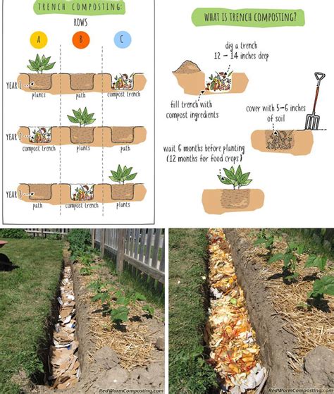  Discovering the Advantages of Composting in Enriching Your Backyard Oasis