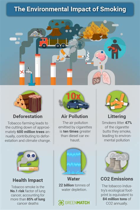  Environmental Impact of Smoke Release 