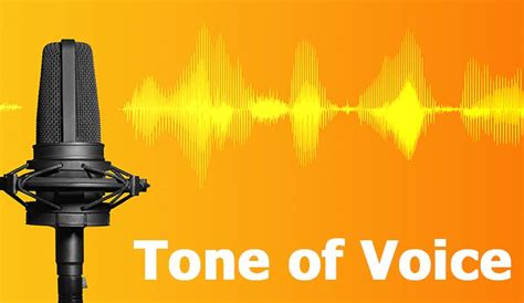  Expert advice for enhancing the outcome of modifying your vocal tones
