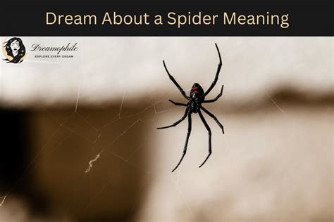  Exploring Archetypal Imagery: Analyzing the Symbolic Meaning of a Dream Featuring a Large Ebony Arachnid 