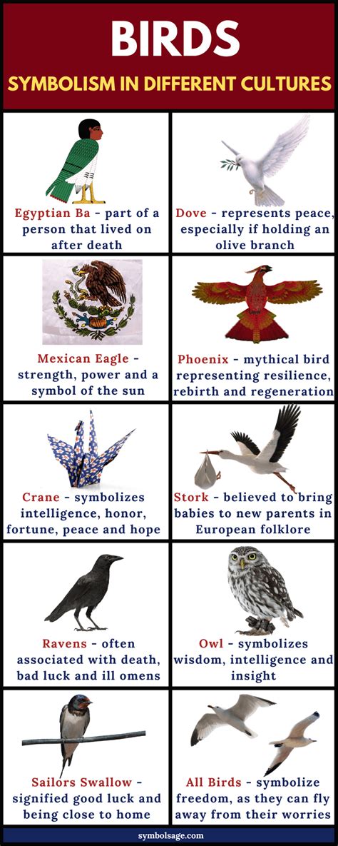  Exploring Cultural and Historical Significance in the Symbolism of Birds 