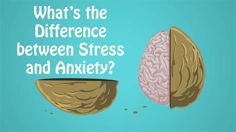  Exploring the Link between Stress and Anxiety 