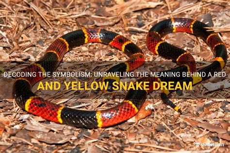  Exploring the Symbolism: Unraveling the Meaning Behind the Vibrant Serpent in an Enigmatic Dream 