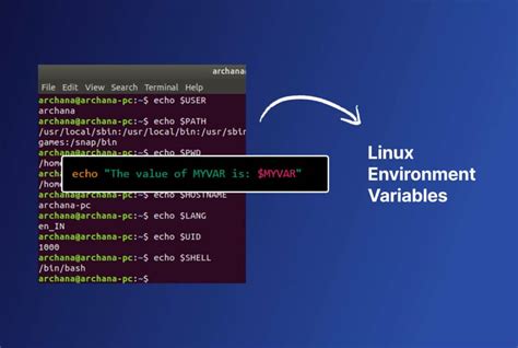  Getting the Best out of Linux Live Environments 