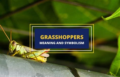  Grasshoppers as Symbols of Metamorphosis 