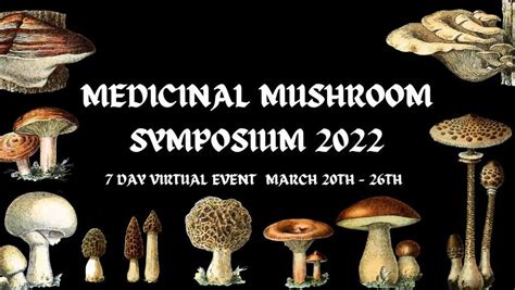  Healing and Renewal: The Symbolic Powers of Medicinal Fungi Reveries 