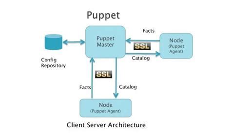  Installing the Puppet Agent and Establishing Communication with the Server 