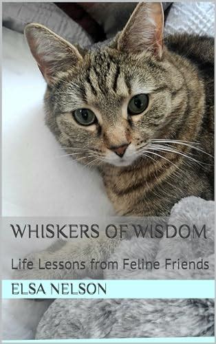  Lessons Learned: Applying Feline Wisdom to Life's Wakeful Moments 