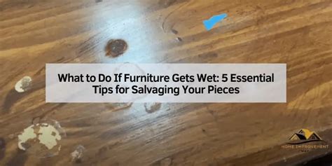  Salvaging Your Belongings: Tips for Damp Furniture and Electronic Devices 