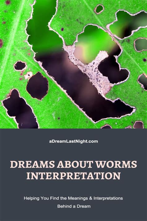  Seeking Professional Assistance for Recurring Dreams of Worms 