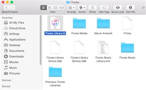  Step 2: Access iTunes 