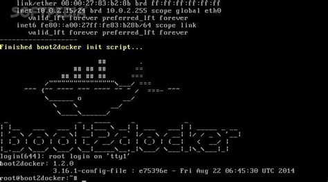  Updating and Managing Java in Boot2docker 