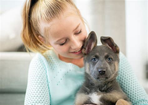 A Bonding Experience: Establishing a Connection with the Puppy's Parent