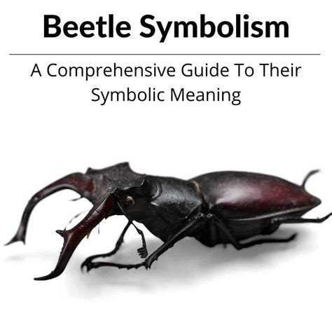 A Brief Exploration of the Symbolism Surrounding a Beetle Presence in Dreams