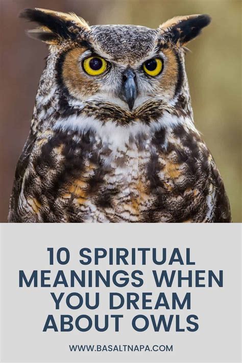 A Closer Look at the Spiritual Meaning of Owls in Dream Interpretation